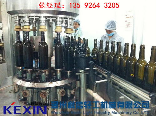 岑溪优质商品葡萄酒生产线设备 石榴深加工设备 科信机械公司
